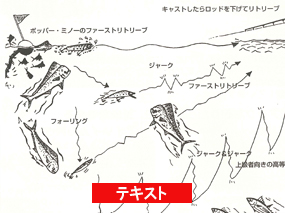 テキストP.19-P.20 キャスティング＆ジギングの基礎知識